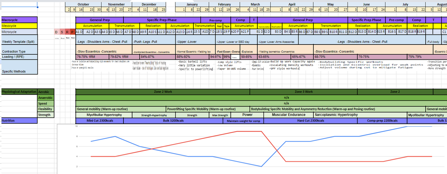 Custom 12 Week Workout Plan